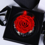 Eternal Red Rose Keepsake 5 03