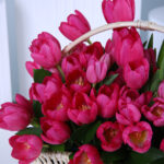 Pink Tulip Basket 5 04 32