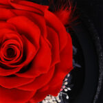 Eternal Red Rose Keepsake 4 04