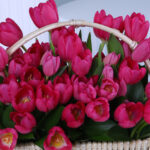 Pink Tulip Basket 4 05 12
