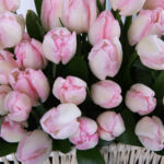 Light Pink Tulip Basket 3 05 13