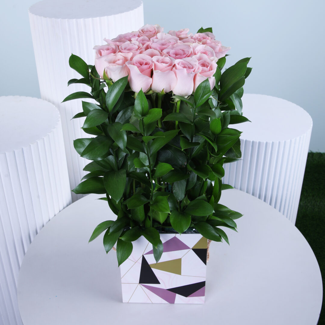 blush boxed pink roses 1