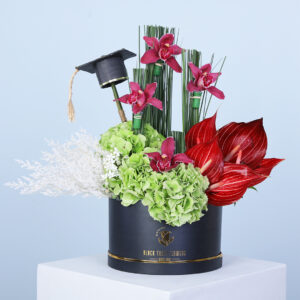 Celebrate graduation with a stunning floral box featuring 3 green hydrangeas, 6 red anthuriums, 4 cymbidium flowers, and steel grass, beautifully arranged to bring vibrant elegance and tropical charm to this special milestone.
