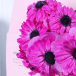 Vibrant Pink Anemone stems 2 03