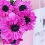 Vibrant Pink Anemone stems 4 04