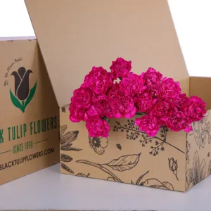 Carnation 20 stems Flower Food Box size: 80cm x 30cm x 15cm