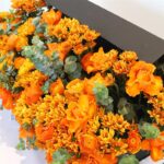 Vibrant Orange Long Flower Box 2 05 30