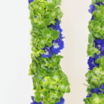 Floral Graduation Garland 3 05