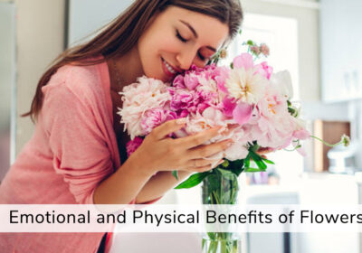 Healing with Flowers - Emotional and Physical Benefits of Flowers 4 Discover the healing power of flowers and their impact on emotional and physical benefits. Explore flowers that symbolize healing and strength.
