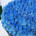 Mystic Blue Rose Box 5 03