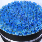 Mystic Blue Rose Box 2 04