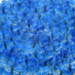 Mystic Blue Rose Box 3 05