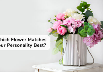 Which Flower Matches Your Personality Best? 7 Flowers symbolizing different personalities—find the bloom that matches yours.