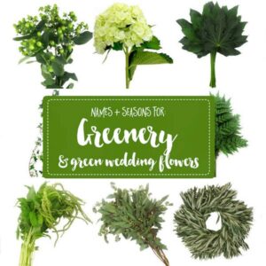 greenery for wedding flower names 18 1