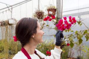 woman wearing gardening clothes touching flowers greenhouse