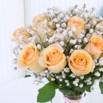 Peach Roses in Vase 4 3
