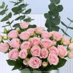 Light Pink Spray Rose in Vase (20 stems) 3 4