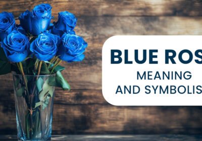Blue Rose Meaning and Symbolism: The Mystery of a Rare Bloom 1 A bouquet of rare blue roses symbolizing mystery, the unattainable, and deep fascination. A bouquet of rare blue roses symbolizing mystery, the unattainable, and deep fascination
