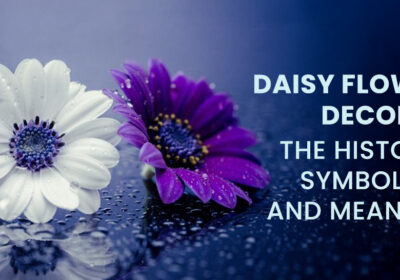 Daisy Flower Decoded: The History, Symbolism and Meaning 2 Daisy flower symbolizing purity, innocence, and new beginnings.