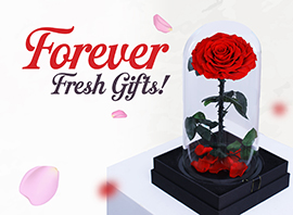 forever 04 07 25
