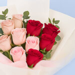 Celebration Combo 5 05