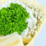 Sweet Celebration Combo 5 05