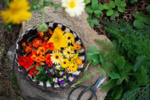 Flowers You Can Eat (Yes, Really!) - Discover Edible Flowers 8 Final Thoughts Growing Using Edible Flowers