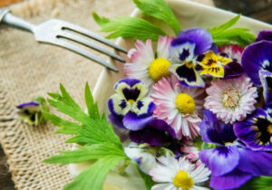 Flowers You Can Eat (Yes, Really!) - Discover Edible Flowers 2 What Flowers