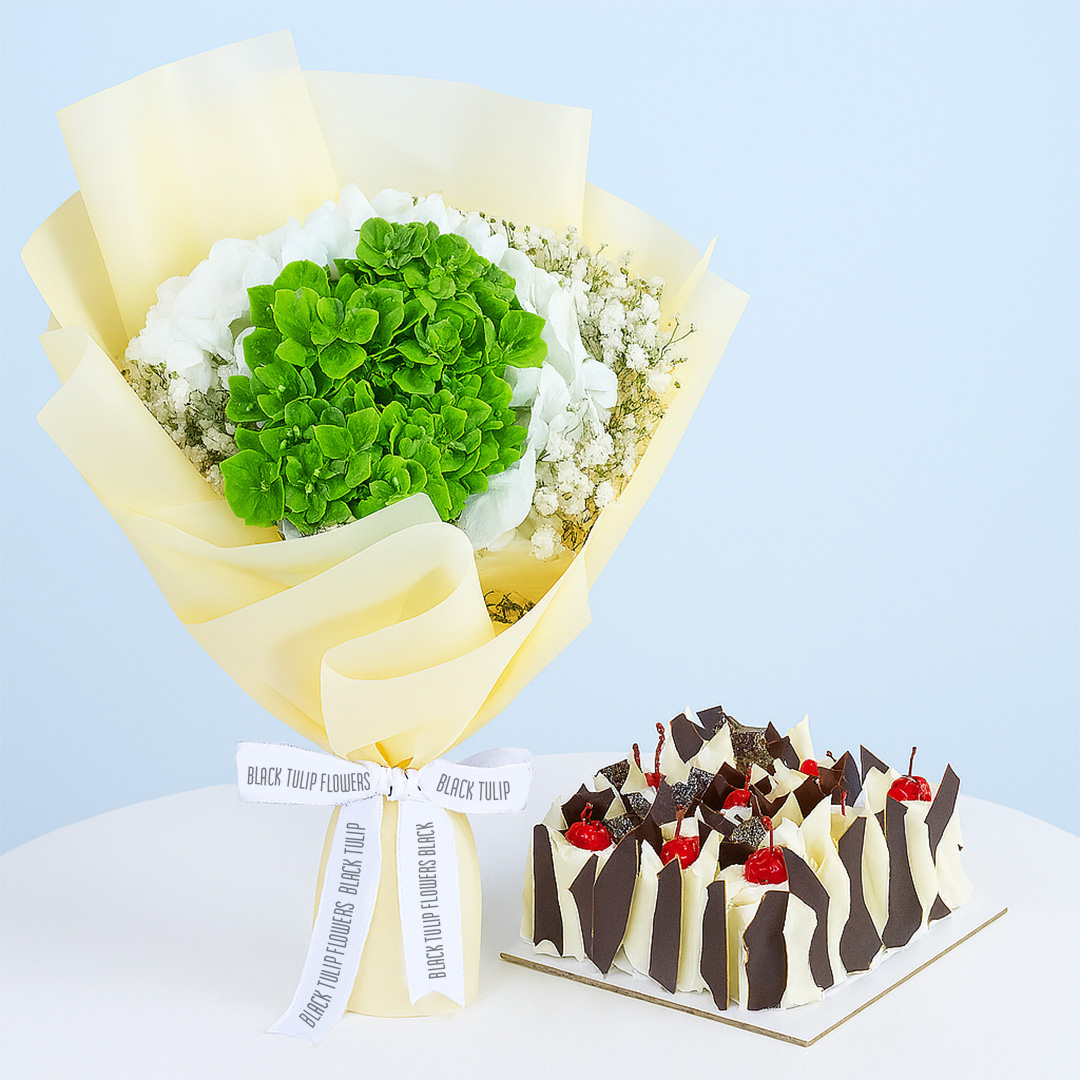 green-hydrangea-bouquet-cake-combo-01-08 A bouquet of white and green hydrangeas and baby's breath wrapped in light yellow and a square black forest cake
