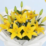 Yellow Lily Bouquet & Balloons 2 02