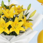 Yellow Lily Bouquet & Balloons 4 04