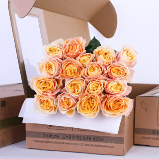 Bunch of Peach Rose 25 stem