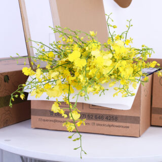 golden wish oncidium honey angel yellow Bunch of Flowers