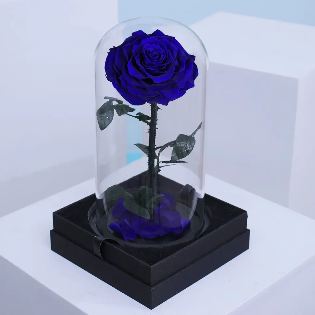 What Are Forever Roses | Forever Roses Symbolism
