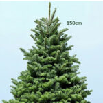 Fresh Christmas Tree with Stand - 5– 6 Feet 2 5-6ft-fresh-christmas-tree-with-stand02