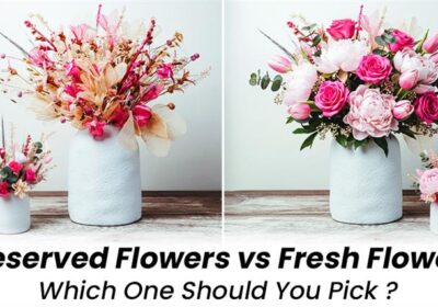 Preserved flowers vs fresh flowers – comparison of beauty, longevity, and style.