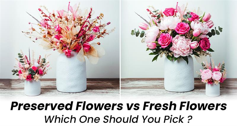 Preserved flowers vs fresh flowers – comparison of beauty, longevity, and style.