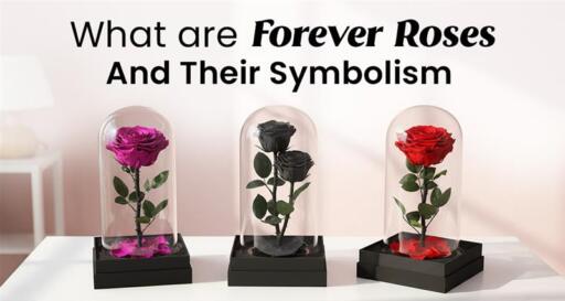 Forever Roses Or Infinity Roses What Are Forever Roses | Forever Roses Symbolism