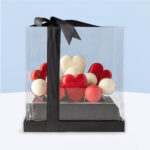 Cakesicle & Truffle Gift Box 2 cakesicle-truffle-gift-box