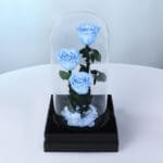 Light Blue Trio Forever Rose 1 light-blue-trio-forever-rose