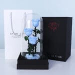 Light Blue Trio Forever Rose 2 light-blue-trio-forever-rose_02