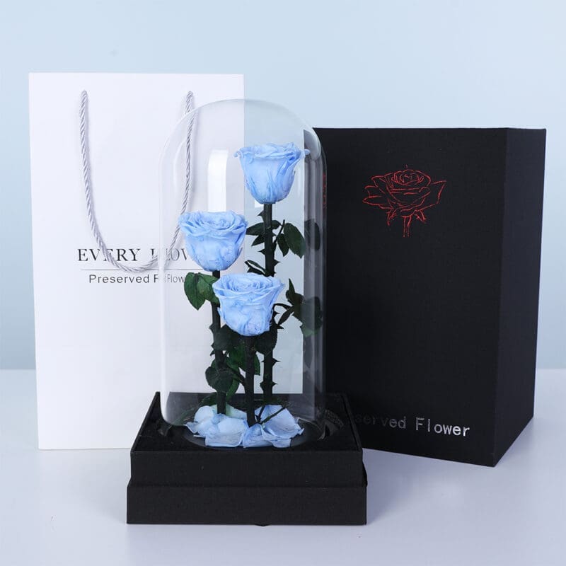 light-blue-trio-forever-rose_02 light blue trio forever rose 02