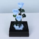 Light Blue Trio Forever Rose 3 light-blue-trio-forever-rose_03