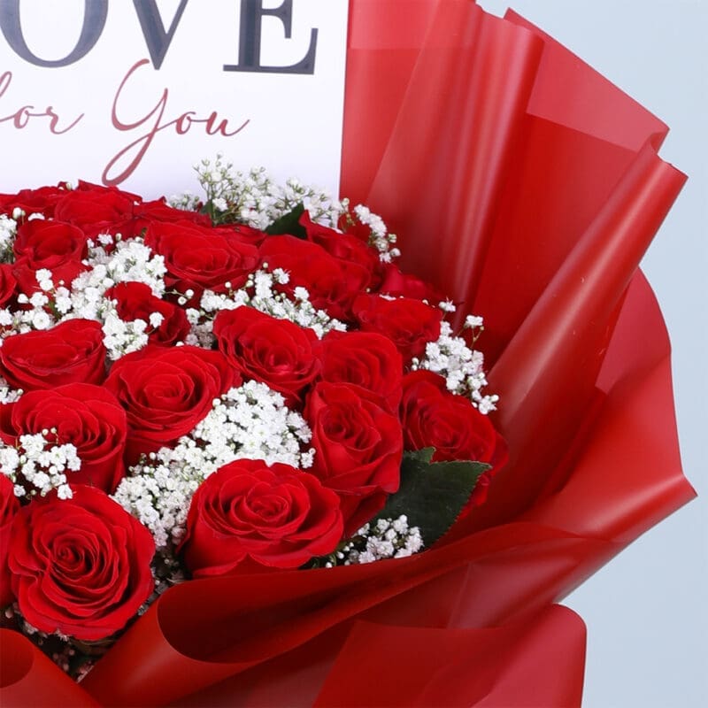 valentine-25-red-roses-gypso-bouquet_04 valentine 25 red roses gypso bouquet 04