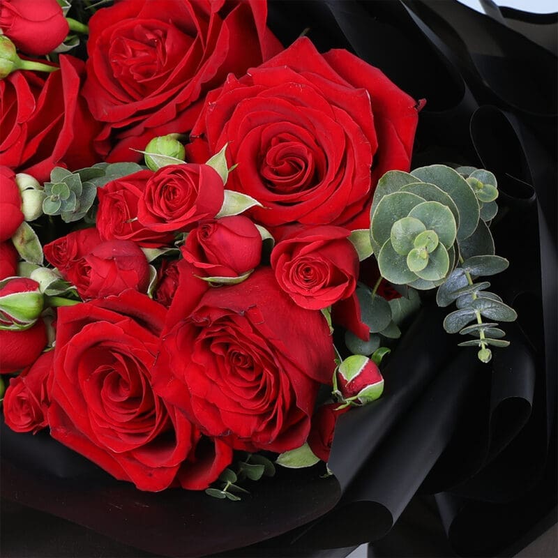 valentine red roses black wrap 04