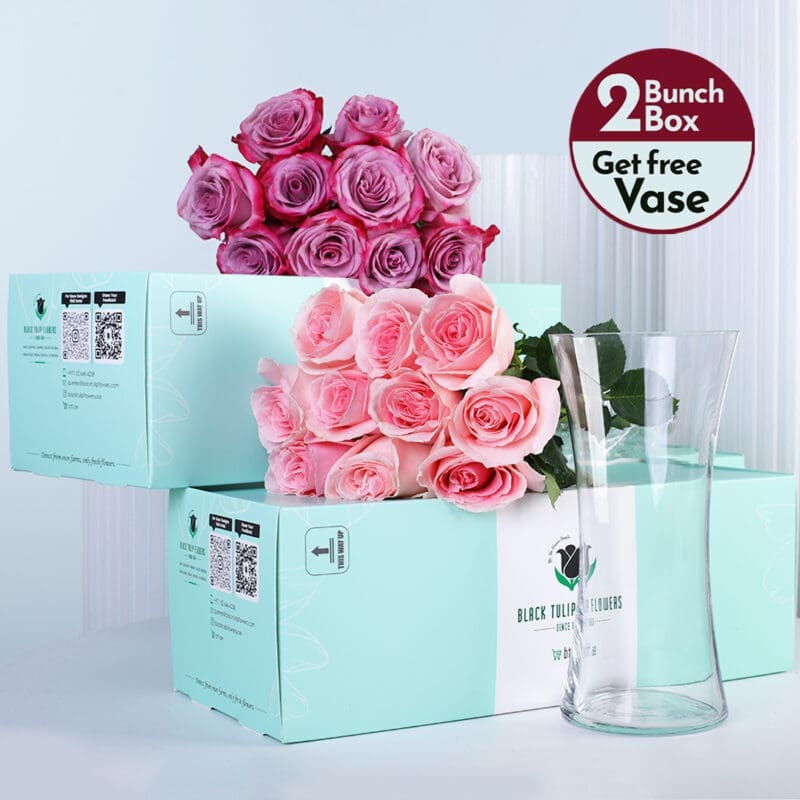 deep-purple-pink-roses-bunch-01 Deep purple roses and pink roses bunches in a green box with vase.