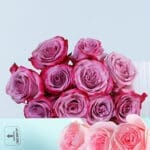 Deep Purple & Pink Roses Bunch 4 deep-purple-pink-roses-bunch-04