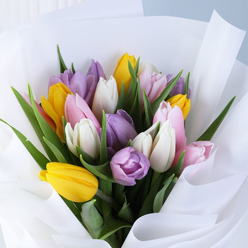 mixed-tulip-bouquet-20-stems_03 mixed tulip bouquet 20 stems 03