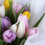 Fresh Mixed Tulip Bouquet (20 Stems) 4 mixed-tulip-bouquet-20-stems_04