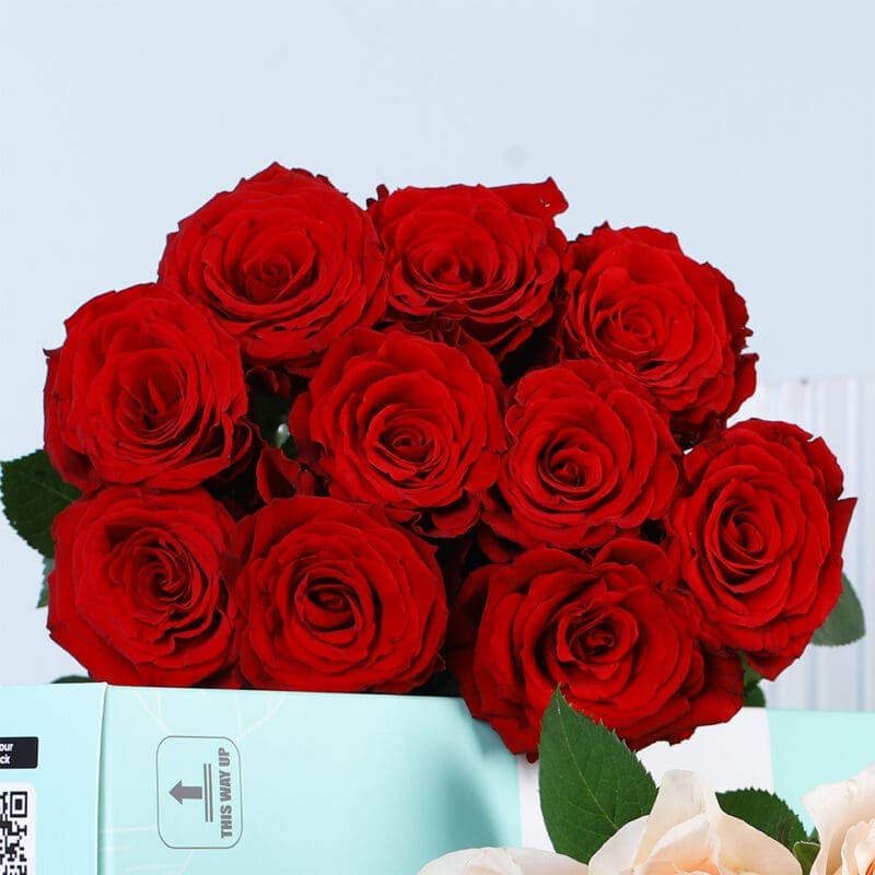 peach-red-roses-bunch-03 peach red roses bunch 03